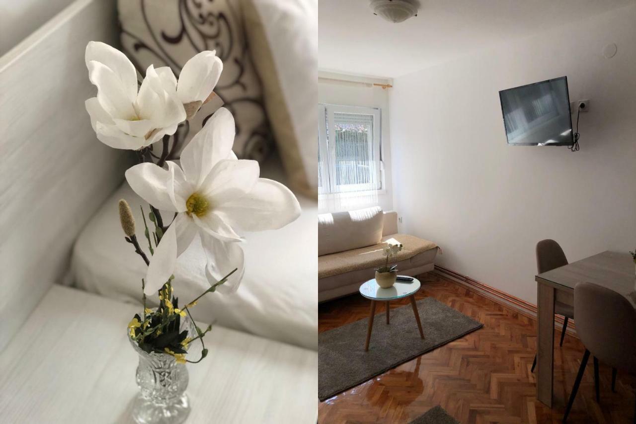 Apartments Ivan Ni Екстериор снимка